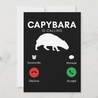 Funny Capybara Humurore Capybaras Einladung