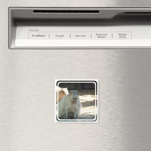 Funny Capybara Magnet (In Situ (Geschirrspüler))