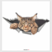 Funny Car Stickers, Car Stickers and Decals Aufkleber (Blatt)