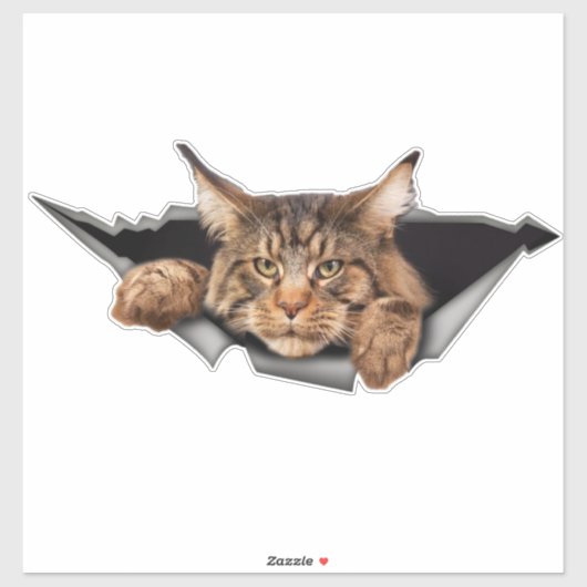 Funny Car Stickers, Car Stickers and Decals Aufkleber (Blatt)