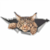 Funny Car Stickers, Car Stickers and Decals Aufkleber (Vorderseite)