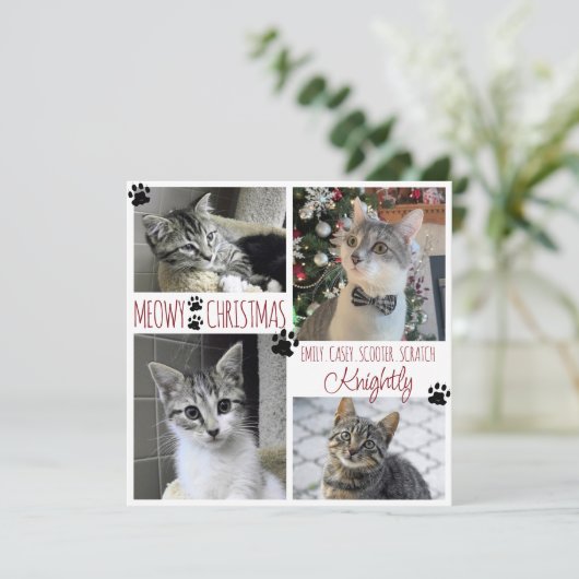 Funny Cat 4 Foto Paw Prints MEOWY CHRISTMAS Card Karte (Stehend Vorderseite)
