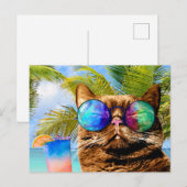 Funny Cat 675 Strand Feiertagspostkarte (Vorne/Hinten)