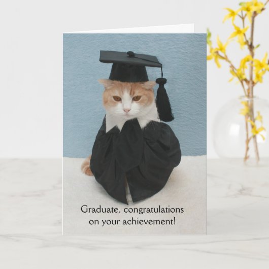 Funny Cat Abschluss Karte (Gelbe Blume)