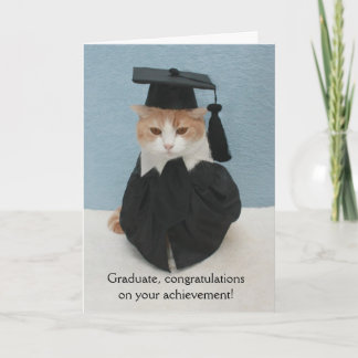 Funny Cat Abschluss Karte