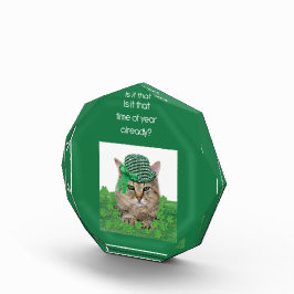 Funny Cat am St. Patrick's Day Fotoblock