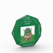 Funny Cat am St. Patrick's Day Fotoblock (Links)