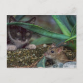 Funny Cat and Mouse Postcard Postkarte (Vorderseite)