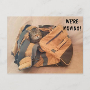 Funny Cat and Suitcase Moving Postcard Postkarte