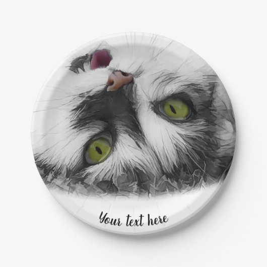 Funny Cat attraktiv Pappteller (Vorderseite)