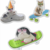Funny Cat auf Skateboard Aufkleber (Vorderseite)