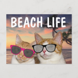 FUNNY CAT BEACH CATCards Postkarte