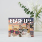 FUNNY CAT BEACH CATCards Postkarte (Stehend Vorderseite)
