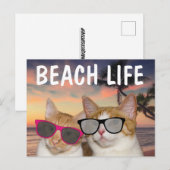 FUNNY CAT BEACH CATCards Postkarte (Vorne/Hinten)
