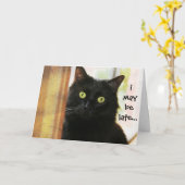 Funny Cat Belated Birthday Card, ich habe nicht Pe Karte (Gelbe Blume)