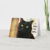 Funny Cat Belated Birthday Card, ich habe nicht Pe Karte (Vorderseite)