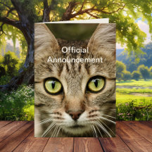 Funny Cat Best Vater Vathers Day Card