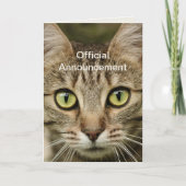 Funny Cat Best Vater Vathers Day Card Karte (Vorderseite)