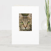 Funny Cat Best Vater Vathers Day Card Karte (Rückseite)