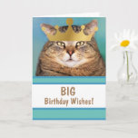 Funny Cat Big Birthday wünscht Karte<br><div class="desc">Niemand versteht den Sinn dieses beeindruckenden Typ! Spielkarte für große Geburtstagswünsche,  passend für einen König! Danke,  dass du gesucht hast! Foto ©Christine Greenspan. Lizenzierte Kronengrafik.</div>