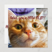 Funny Cat Birthday (Vorne/Hinten)