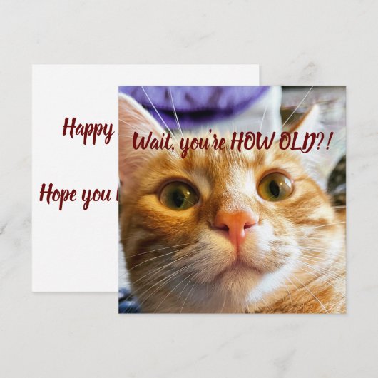 Funny Cat Birthday (Vorne/Hinten)