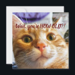 Funny Cat Birthday<br><div class="desc">Das ist Sprocket. Sprocket ist sehr ausdrucksstark, und als ich ihr erzählte, wie alt mein Alter war, war dies der Ausdruck, den sie machte. Ich konnte diesen Moment festhalten, und ich glaube, ich habe erfasst, was sie mir zu sagen versuchte. Das brachte mir so ein Lachen! Ich hoffe, dass es...</div>