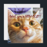 Funny Cat Birthday<br><div class="desc">Das ist Sprocket. Sprocket ist sehr ausdrucksstark, und als ich ihr erzählte, wie alt mein Alter war, war dies der Ausdruck, den sie machte. Ich konnte diesen Moment festhalten, und ich glaube, ich habe erfasst, was sie mir zu sagen versuchte. Das brachte mir so ein Lachen! Ich hoffe, dass es...</div>