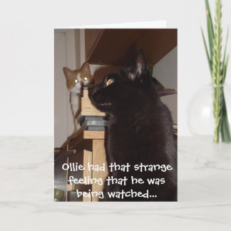 Funny Cat Birthday Card 'Be Watching' Karte