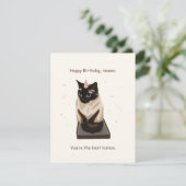 Funny Cat Birthday Card Feiertagskarte (Stehend Vorderseite)