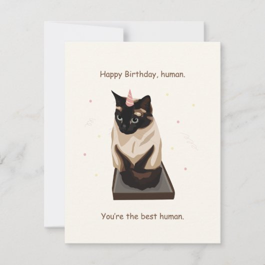 Funny Cat Birthday Card Feiertagskarte (Vorderseite)
