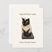 Funny Cat Birthday Card Feiertagskarte (Vorne/Hinten)