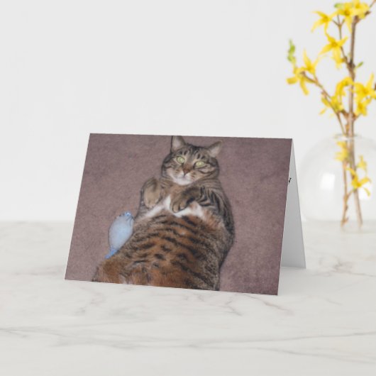 Funny Cat Birthday Card (Großes Print) Karte (Gelbe Blume)