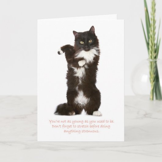 Funny Cat Birthday Card Karte (Vorderseite)