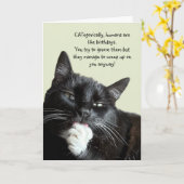 Funny Cat Birthday Card Karte (Gelbe Blume)