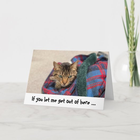 Funny Cat Birthday Card Karte (Vorderseite)