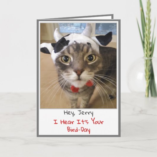 Funny Cat Birthday Card Karte (Vorderseite)