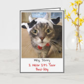 Funny Cat Birthday Card Karte (Gelbe Blume)