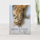 Funny Cat Birthday Card Karte (Vorderseite)