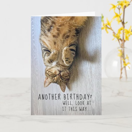 Funny Cat Birthday Card Karte (Gelbe Blume)