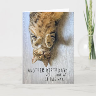 Funny Cat Birthday Card Karte