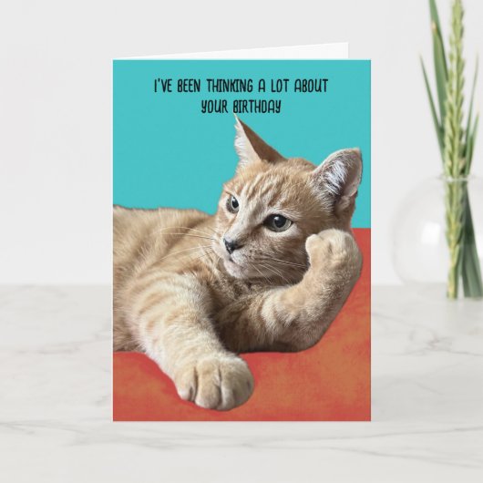 Funny Cat Birthday Card Karte (Vorderseite)