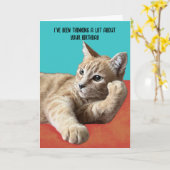 Funny Cat Birthday Card Karte (Gelbe Blume)