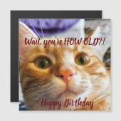 Funny Cat Birthday Card Magnetkarte (Vorne/Hinten)
