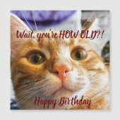 Funny Cat Birthday Card Magnetkarte (Vorderseite)