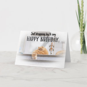 Funny Cat Birthday Greeting Card  Karte