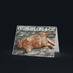 Funny Cat Birthday Greeting Card  Karte<br><div class="desc">Funny Cat Chilling Birthday greeting Card for the cat lovers in your life. This cute greeting card is a perfekt way to wish Happy Birthday to a friend,  co-worker,  family member or a special someone.</div>