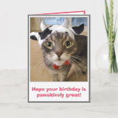 Funny Cat Birthday Karte (Vorderseite)