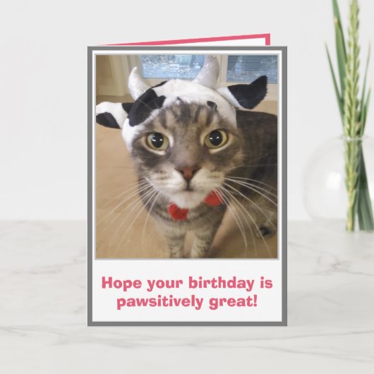 Funny Cat Birthday Karte (Vorderseite)