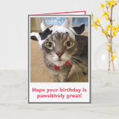 Funny Cat Birthday Karte (Gelbe Blume)